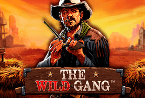 Игровой автомат The Wild Gang