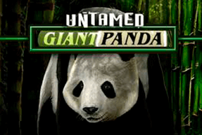 Ігровий автомат Untamed - Giant Panda