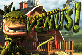 Игровой автомат It Came From Venus JP Plus