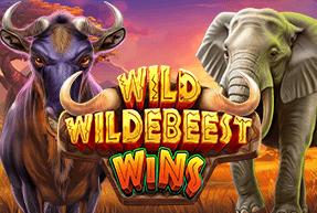 Ігровий автомат Wild Wildebeest Wins