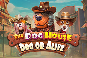 Ігровий автомат The Dog House – Dog or Alive