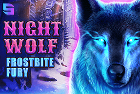 Игровой автомат Night Wolf - Frostbite