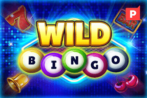 Ігровий автомат Wild Bingo