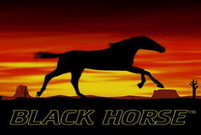 Ігровий автомат Black Horse™